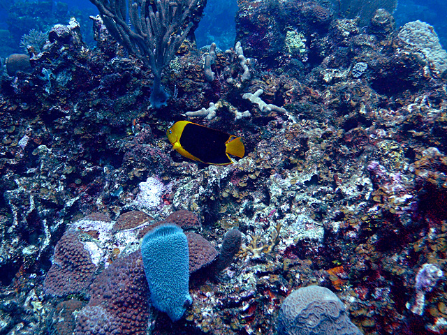p1090359.jpg_2.jpg