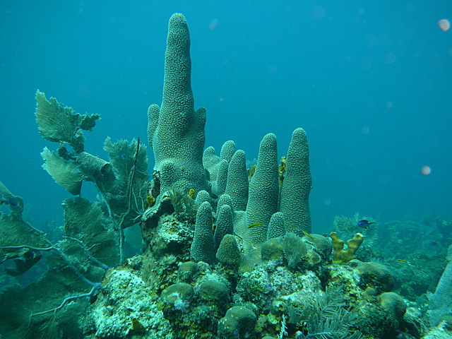 p1090375.jpg_1.jpg