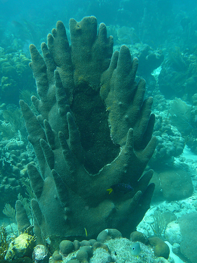 p1090789.jpg_1.jpg