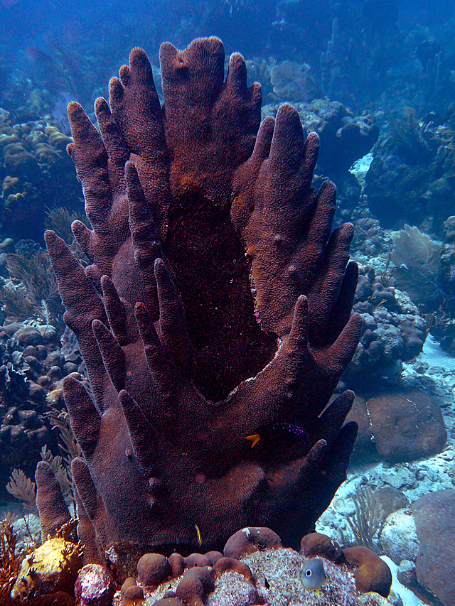 p1090789.jpg_2.jpg